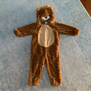 Target Brown Furry Lion Kids Costume
